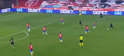 F1阿布扎比站二练：可以庆祝冠军了？诺里斯强势领先